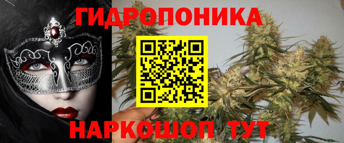 Бошки марихуана сатива Тихорецк